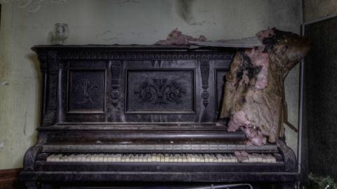 Dusty Pictures & Decrepit Floors photo 3