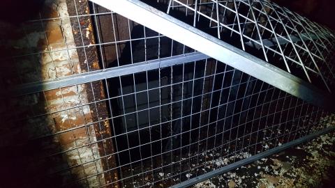 It Follows - 20220806_145057.jpg