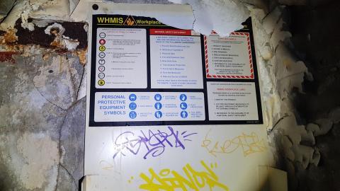 It Follows - 20220806_145156.jpg