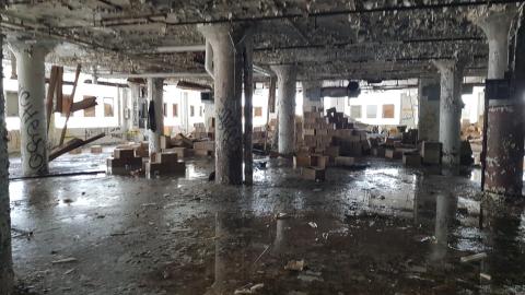 It Follows - 20220806_145300.jpg