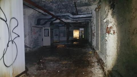 It Follows - 20220806_150004.jpg