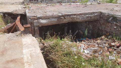 It Follows - 20220806_150848.jpg