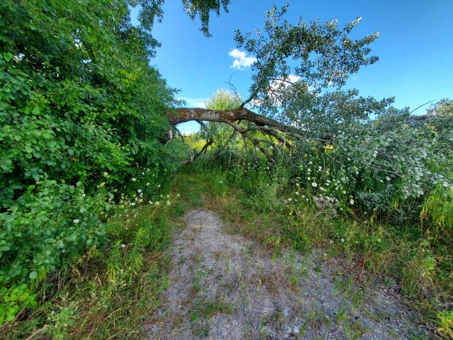 "Clearly Homes" Hidden House on Hill photo 3
