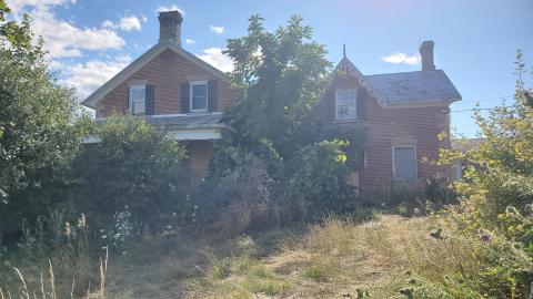 House - 20220813_171328.jpg