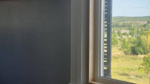 House - 20220813_164959.jpg