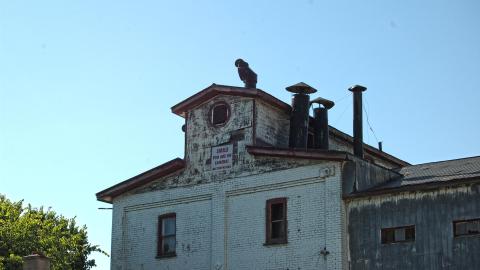 July 20, 2012 - DSC_0198.JPG