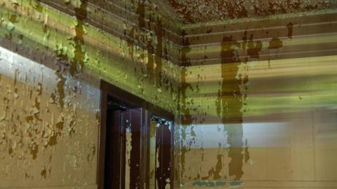 July 20th, 2012 - DSC_0273.JPG