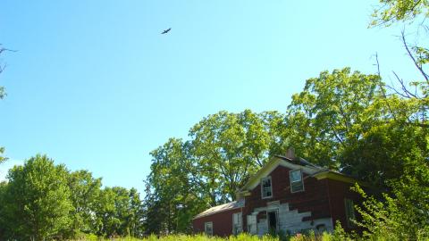 July 20th, 2012 - DSC_0001.JPG