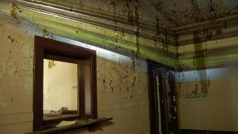 July 20th, 2012 - DSC_0272.JPG