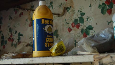 Photo from July 20th, 2012