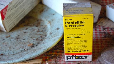 July 20th, 2012 - DSC_0053.JPG