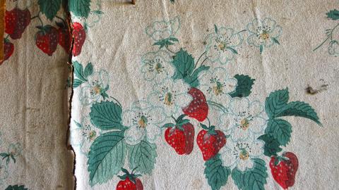 July 20th, 2012 - DSC_0056.JPG