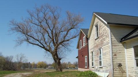 Waterdown Farm House photo 3