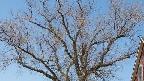 Waterdown Farm House photo 4