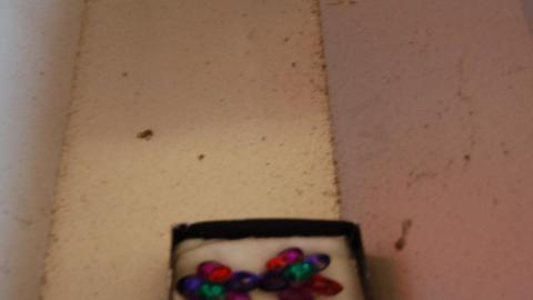 April 13th, 2012 - DSC_0105.JPG