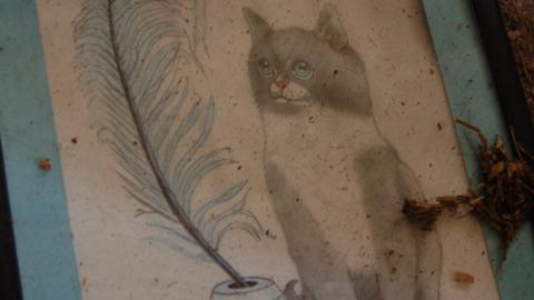 April 13th, 2012 - DSC_0106.JPG