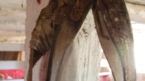 April 13th, 2012 - DSC_0109.JPG