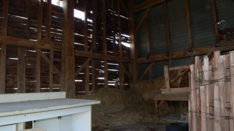 April 13th, 2012 - DSC_0128.JPG