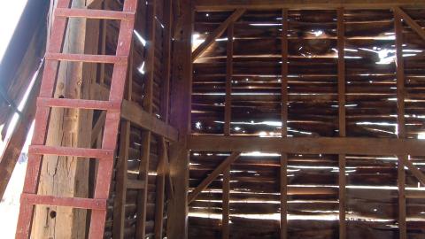 April 13th, 2012 - DSC_0139.JPG