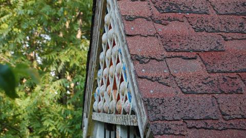 August 31, 2012 - DSC_0092.JPG