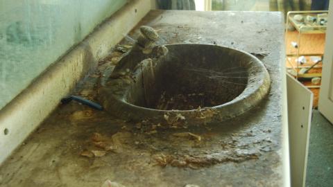 August 31, 2012 - DSC_0104.JPG