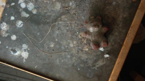 August 31, 2012 - DSC_0107.JPG