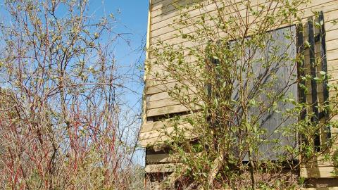 August 9th, 2012 - DSC_0077.JPG