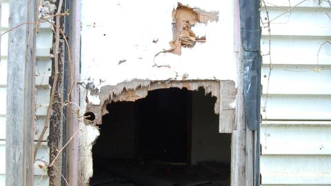 August 9th, 2012 - DSC_0083.JPG