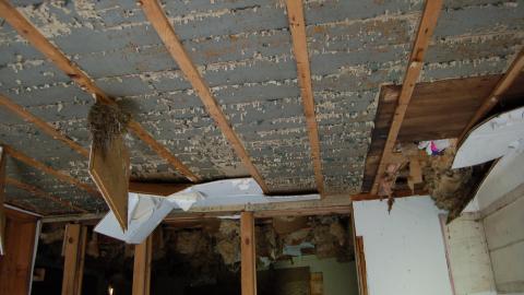 August 9th, 2012 - DSC_0085.JPG