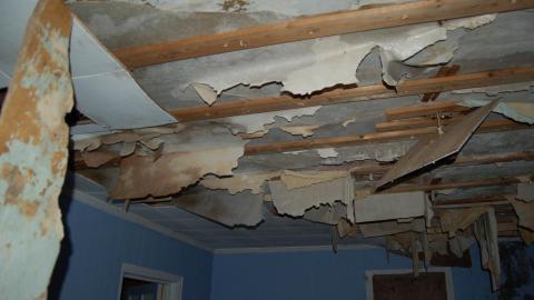 August 9th, 2012 - DSC_0086.JPG