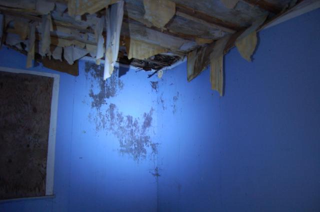 Guelph Line Yellow House photo 3