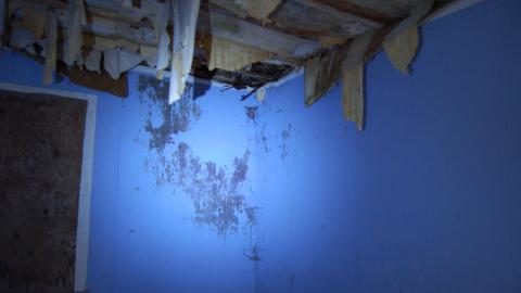 August 9th, 2012 - DSC_0094.JPG