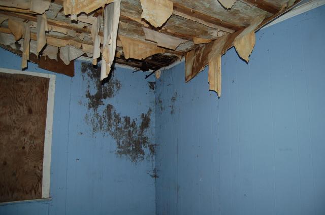 Guelph Line Yellow House photo 4