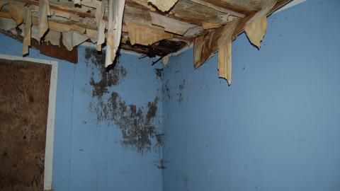 August 9th, 2012 - DSC_0095.JPG