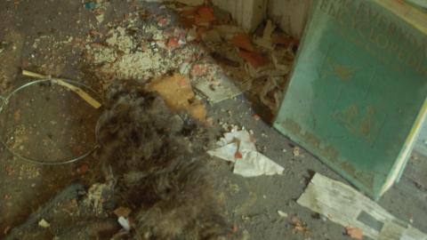 August 31, 2012 - DSC_0124.JPG