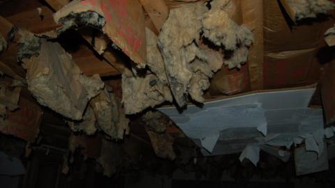 August 9th, 2012 - DSC_0109.JPG