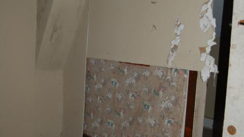 August 9th, 2012 - DSC_0112.JPG