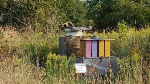 August 31, 2012 - DSC_0130.JPG