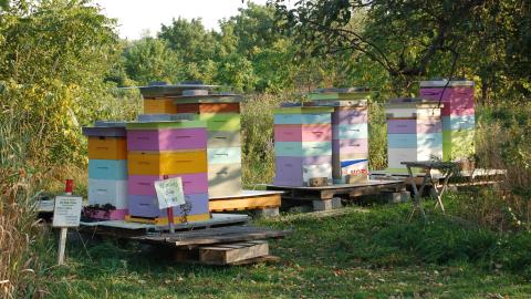 August 31, 2012 - DSC_0131.JPG