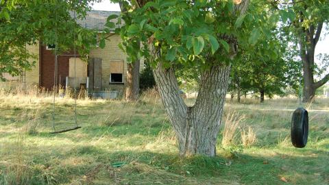 August 31, 2012 - DSC_0133.JPG