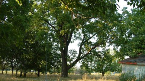 August 31, 2012 - DSC_0136.JPG