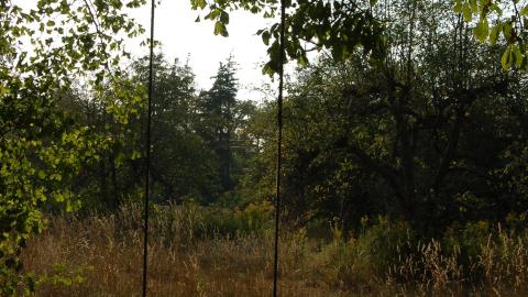 August 31, 2012 - DSC_0145.JPG