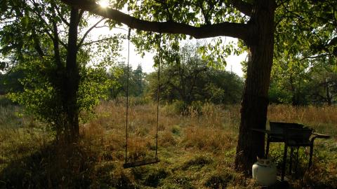 August 31, 2012 - DSC_0144.JPG