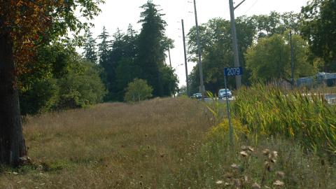 August 31, 2012 - DSC_0155.JPG