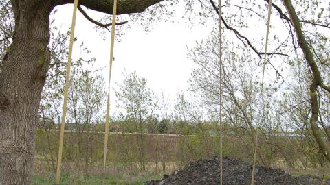 July 21st, 2012 - DSC_0048.JPG