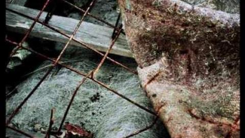 CFB Rockcliffe - 2011 - CFB-Rockliffe39.jpg