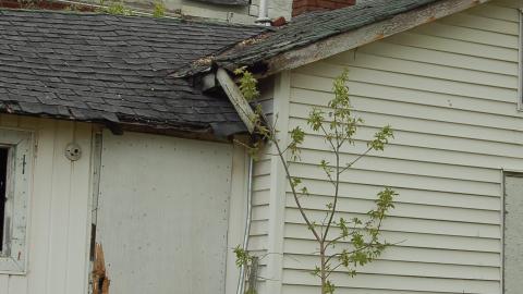 July 21st, 2012 - DSC_0065.JPG