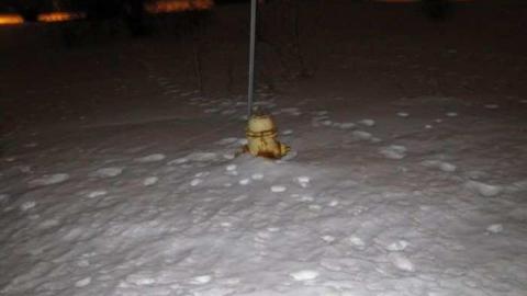 2012 - CFB-Rockliffe43.jpg