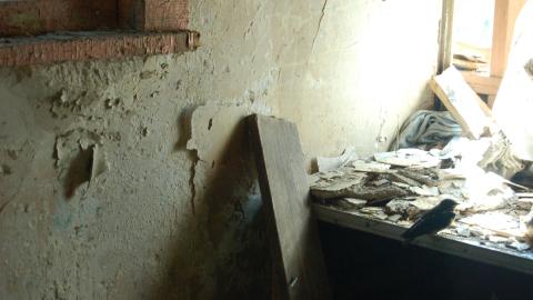 June 19th, 2012 - DSC_0316.JPG