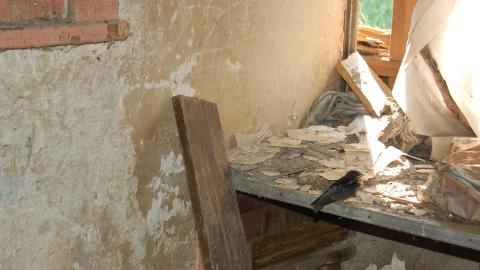 Photo from June 19th, 2012